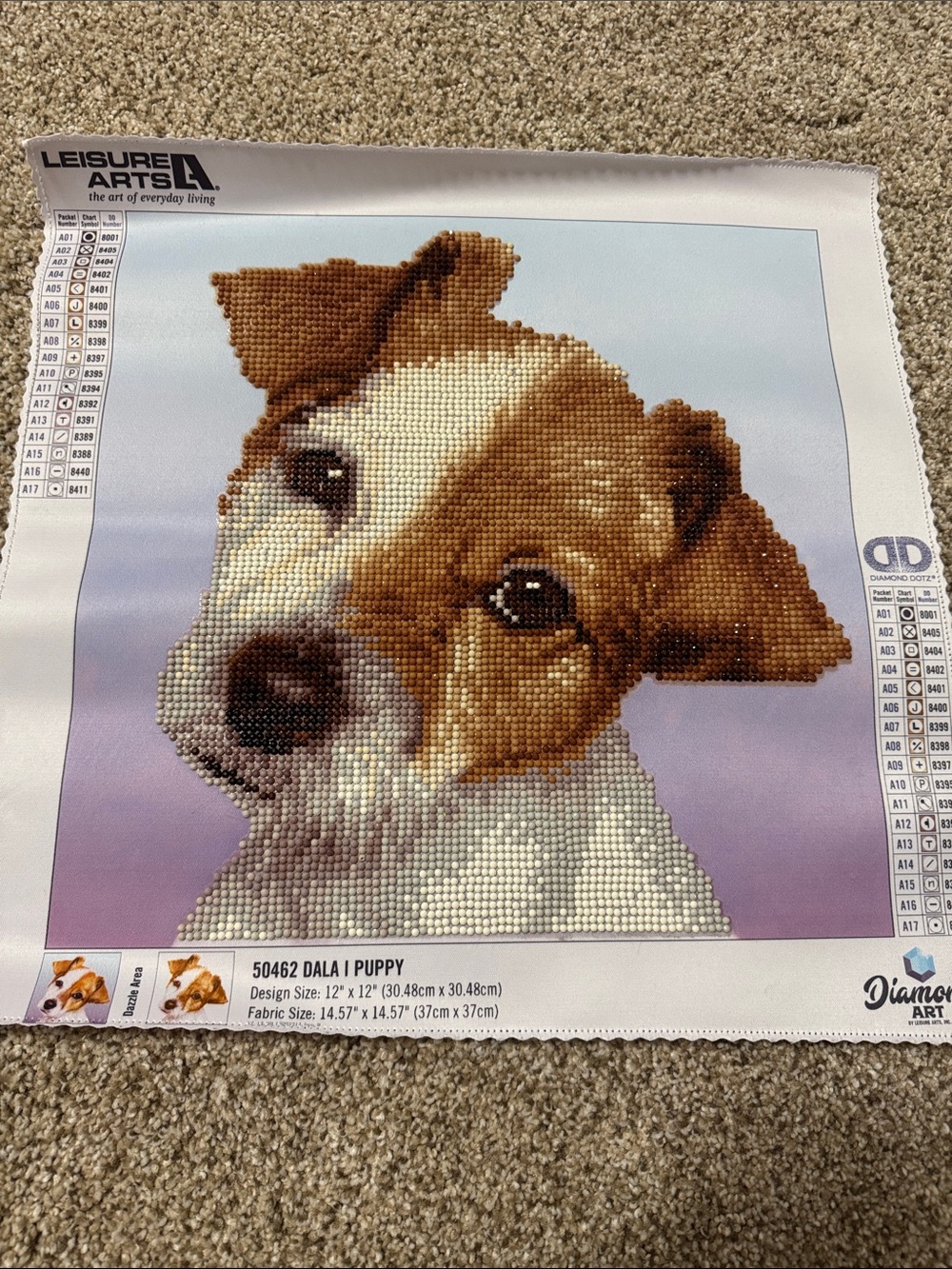 Brown & White Puppy Diamond Art Canvas